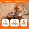 Kitty Curls Cat Toy - Foldable Accordion Cat Scratcher withBall - Magic Organ Cat Scratch Board for Interactive Play -Calming Features