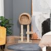 Modern Cat Tree with Sisal Scratching Post Condo and Hanging Rope 39"H, Beige