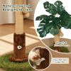 Cat Scratching Post for Indoor Cats and Kitten - 24.8" Tall Cat Scratching Post with Sisal Rope,Palm Tree Cat Scratch Post with Hanging Ball