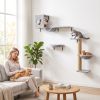 3-In-1 Cat Wall Shelves with Condo, Bed, Hammock, Scratching Post and Spring Ball, Gray