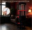 60"  Cat Tower with Plush Perch and Spider Hanging Toys