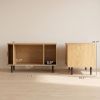 Cat Litter Box Enclosure with Sliding Door, Litter Mat, Modern Cat House, TV Stand, Side End Table for Living Room