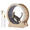 Cat Exercise Wheel, Small Cat Treadmill Wheel for Indoor Cats