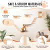 Wall Mounted Cat Shelves, Cat Wall Shelves and Perches with Jumping Boards, Cat Beds, Hammocks & Cat Tree