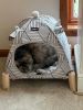 Portable Cat Tent Bed – Foldable Indoor Tent Bed for Cats & Small Dogs, Washable Cushion, Cozy Hideaway for Kittens & Cats, Easy Assembly & Travel