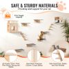 Wall Mounted Cat Shelves, Cat Wall Shelves and Perches with Jumping Boards, Cat Beds, Hammocks & Cat Tree